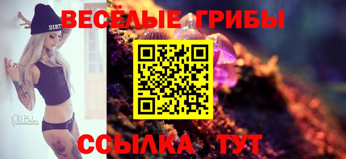 Сибай  Псилоцибиновые грибы прущие грибы  Вход с VPN 